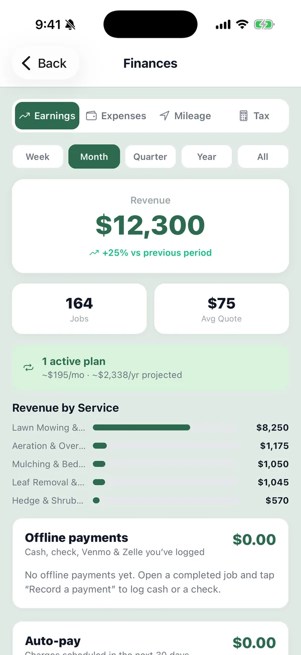 Finances: revenue for the month and revenue by service